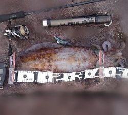 まさかこんな所に!?